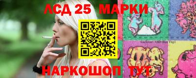 СК Донецк