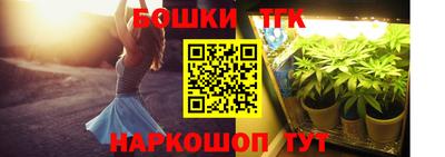 spice Дубна