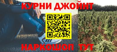 spice Дубна